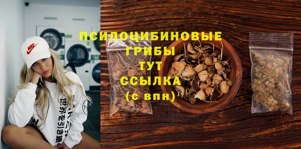 мет Дмитриев