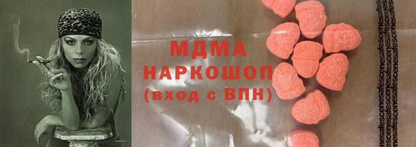 прущие грибы Елабуга