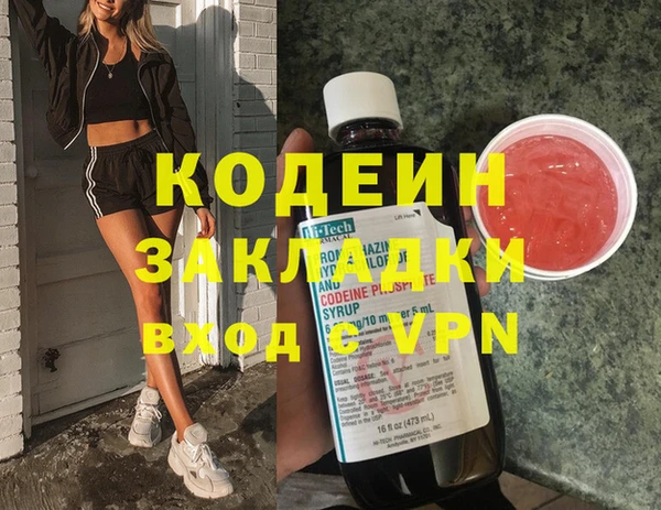 прущие грибы Елабуга