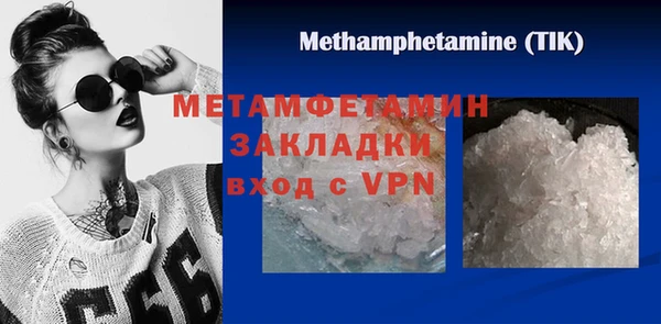 прущие грибы Елабуга